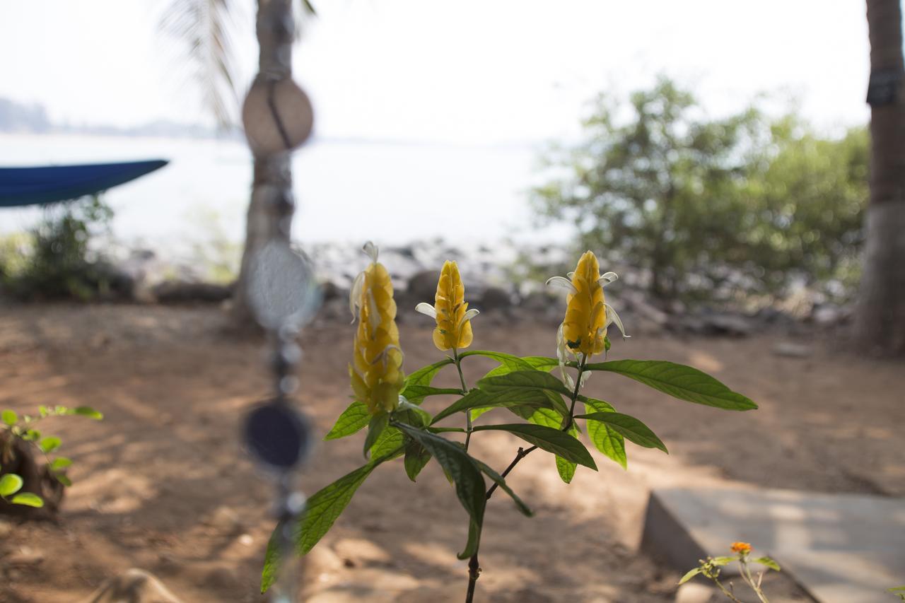 Kala Bahia Hotel Patnem Beach Buitenkant foto